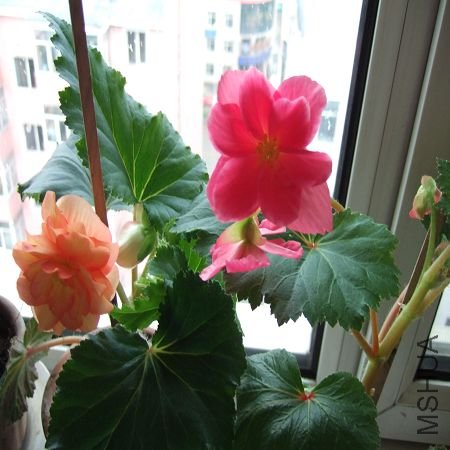 DSCF2891.JPG