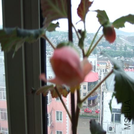 DSCF2892.JPG