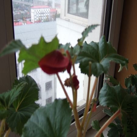 DSCF2893.JPG