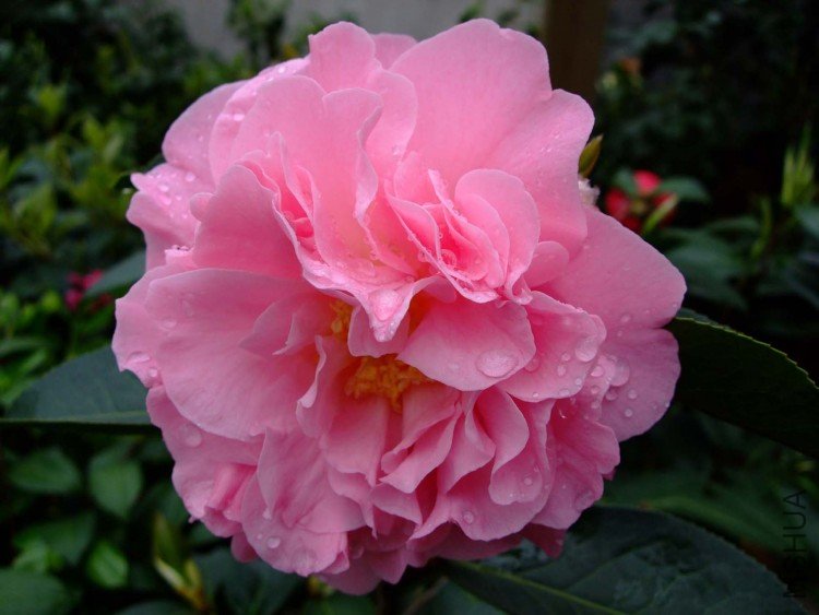 ������ 09-4-13 (2).jpg