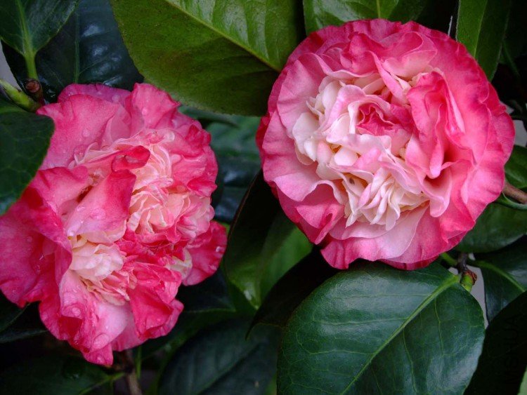 ���µ���� 09-4-13 (3).jpg