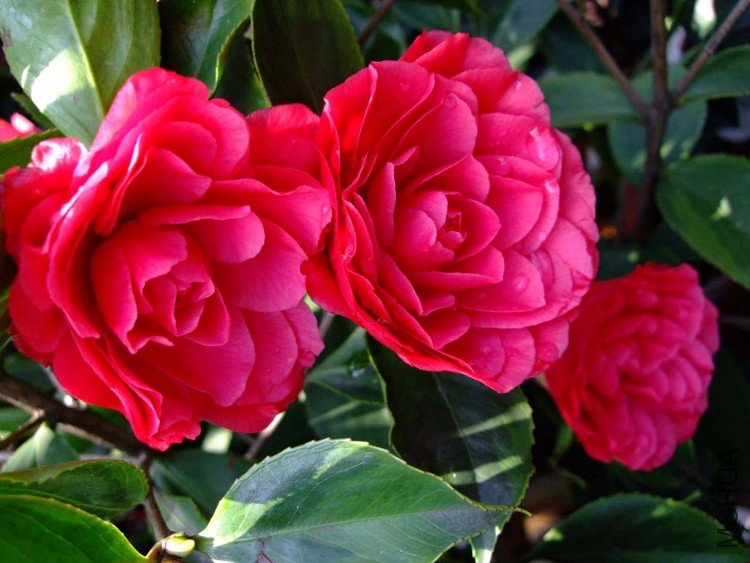 ������ 09-4-14 (2).jpg