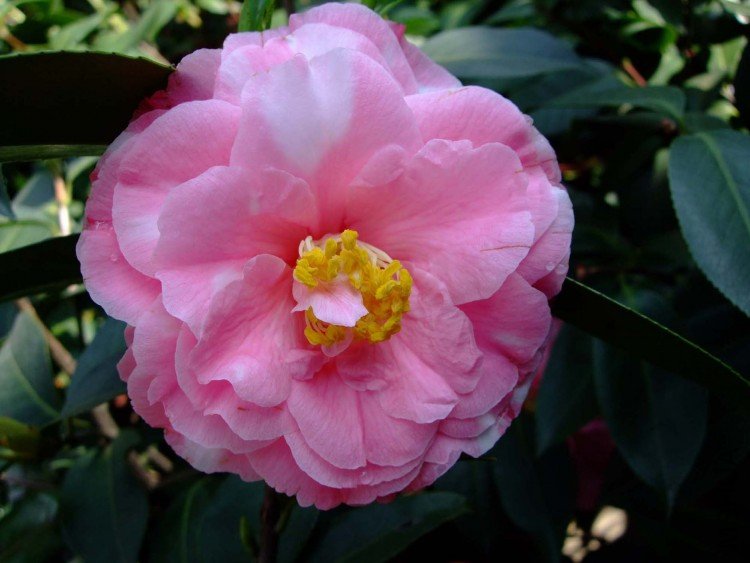 ˹���� 09-4-14 (2).jpg