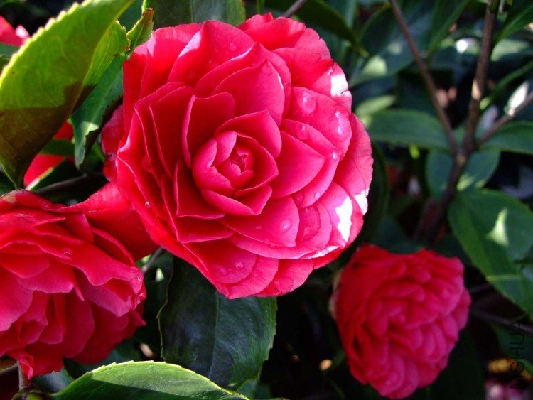 ������ 09-4-14(1).jpg