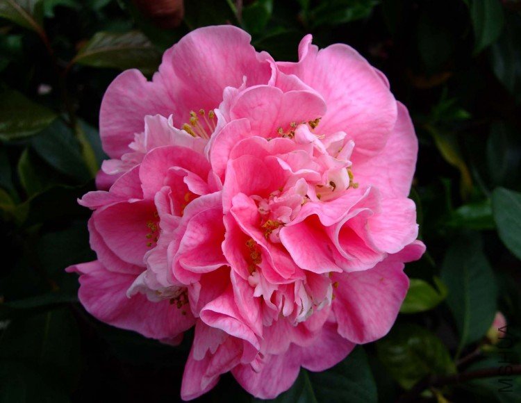 ���������� 09-4-16(1).jpg