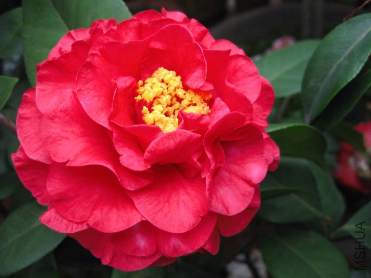 �����С�� 09-4-16(1).jpg