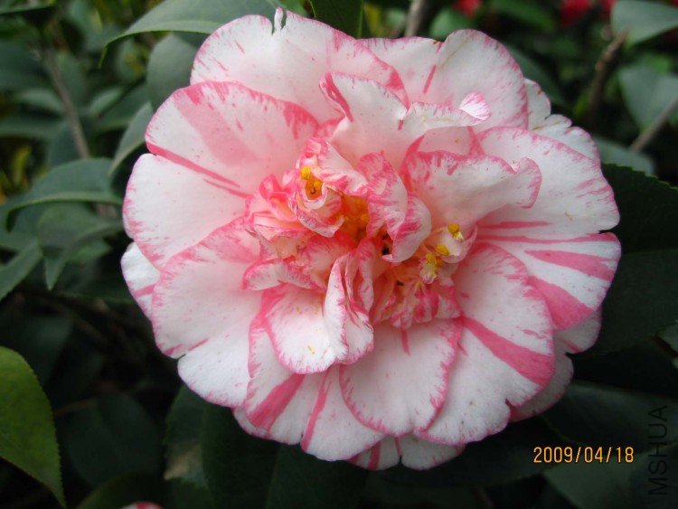 ���ѻ� 09-4-18.jpg