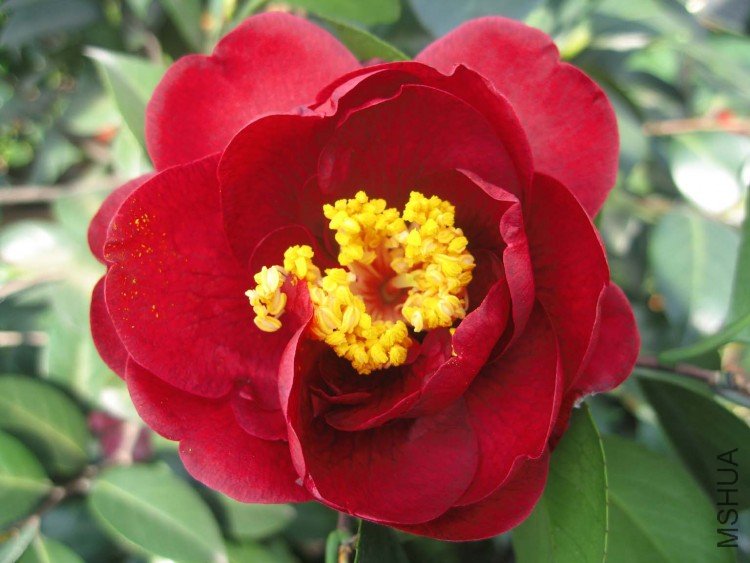 ���� 09-4-5 (1).jpg