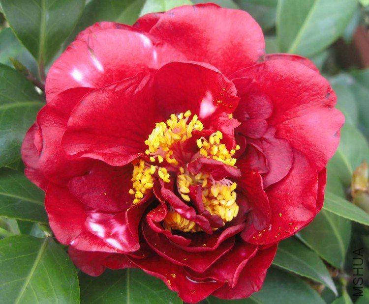 ��Ħ�� 09-4-5 (3).jpg