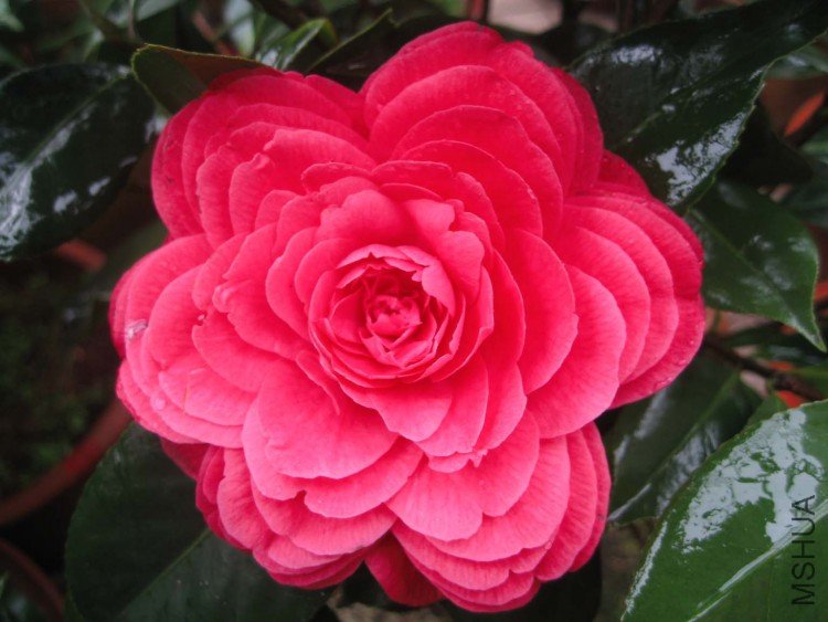 ���Ǵ�� 09-4-4(1).jpg