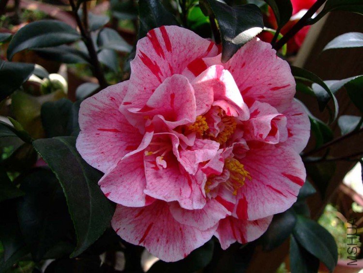 ������ 09-4-1(1).jpg