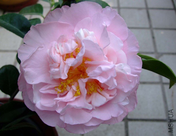 �����֮�� 09-4-1(1).jpg