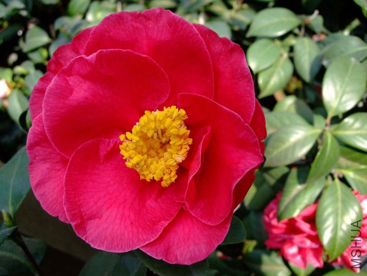 ����� 09-4-1(1).jpg