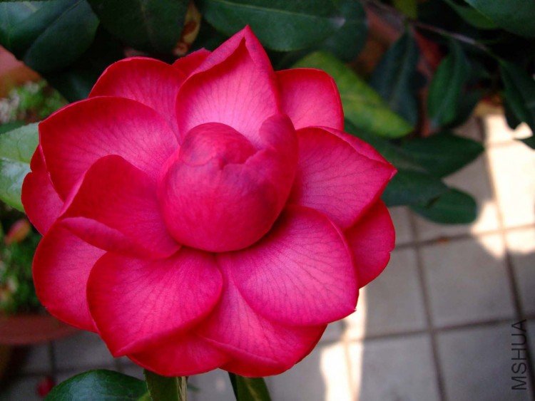 ���� 09-4-1 (2).jpg