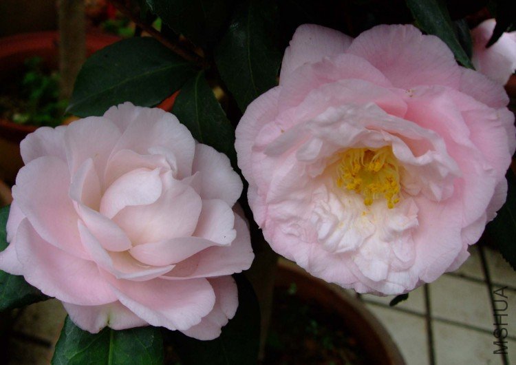 �¹��� 09-3-29 (1).jpg