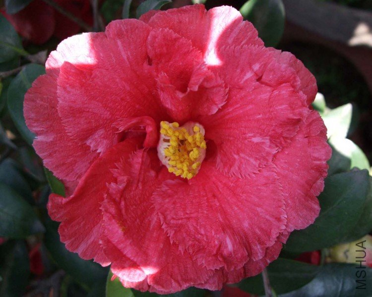 �쿭���� 09-3-26.jpg