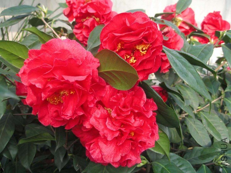 ���޵� 09-3-26 (2).jpg