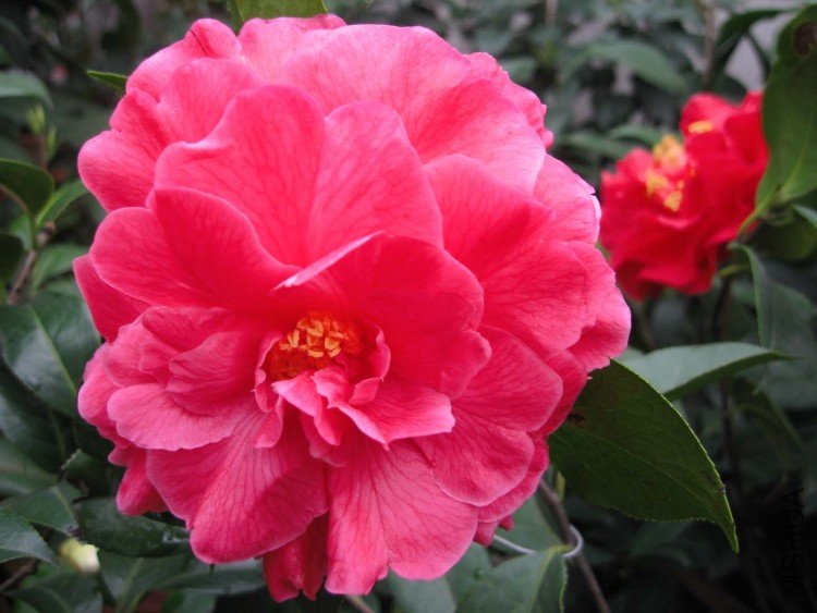 �ȶ���ĵ�� 09-3-22.jpg