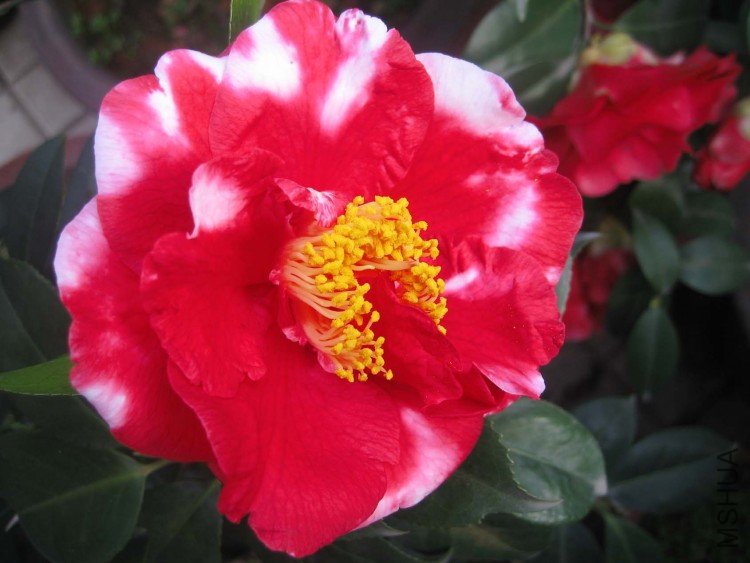 ���������� 09-3-26 (1).jpg