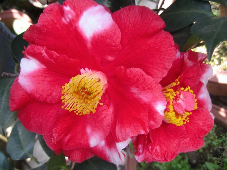 ���������� 09-4-5 (1).jpg