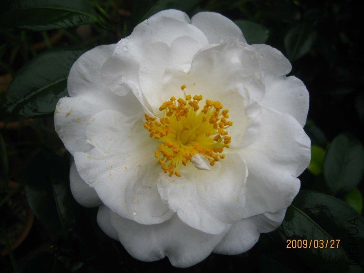 ���� 09-3-27 (3).jpg