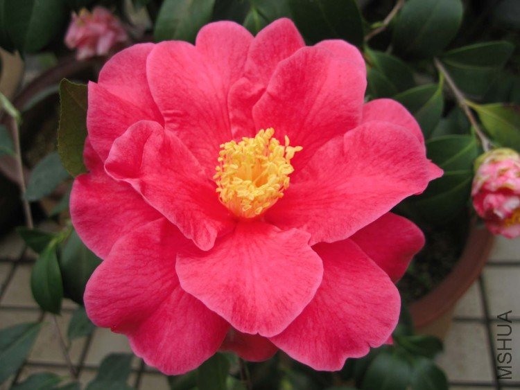 ��˹ 09-3-19  (2).jpg