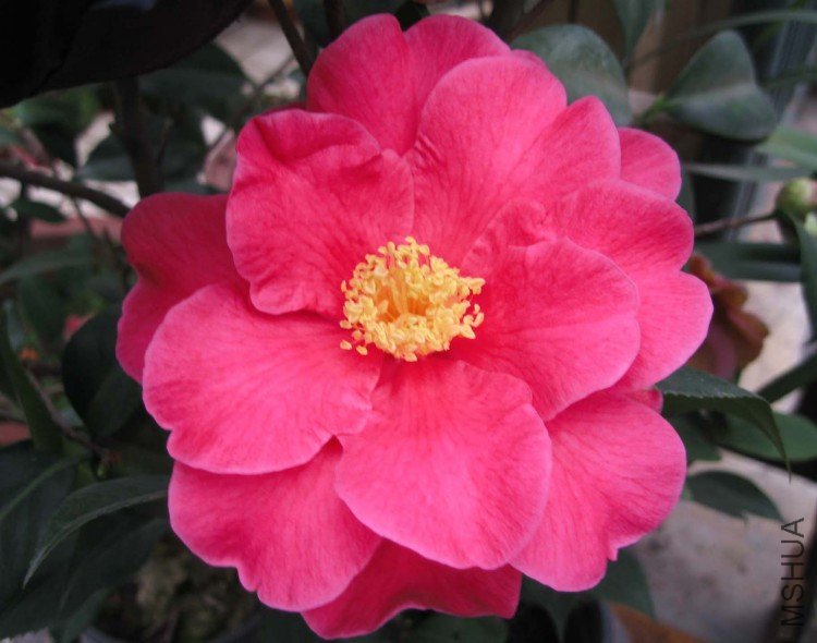 ��˹ 09-3-19  (1).jpg