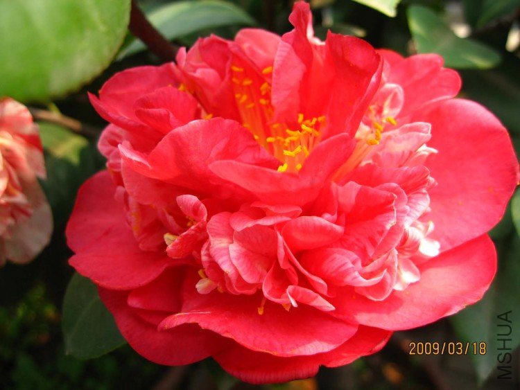 ������ 09-3-18 (2).jpg