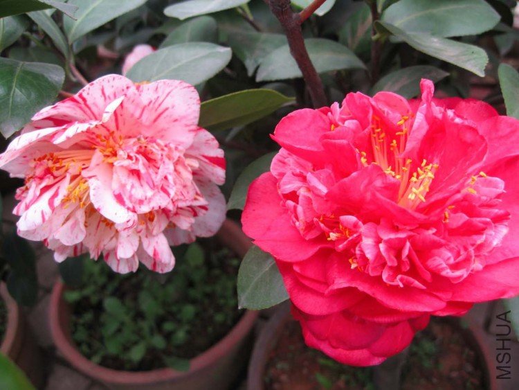 ������ 09-3-19 (2).jpg