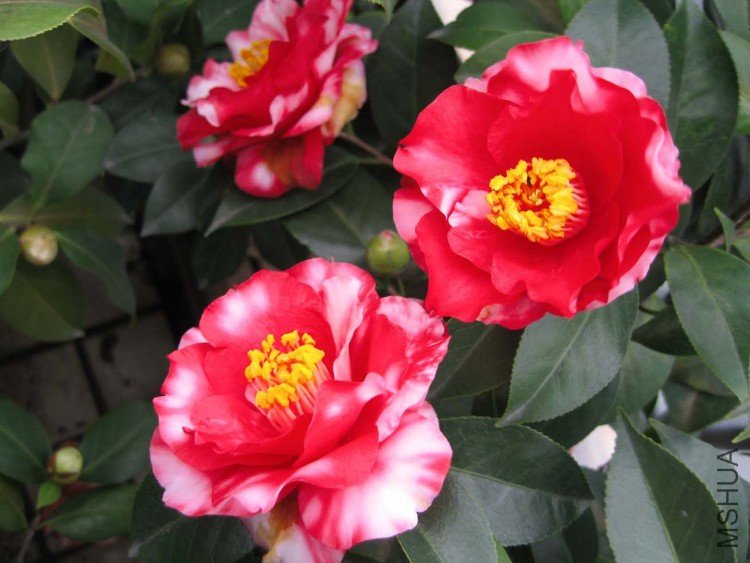 ��ȸ���� 09-3.jpg