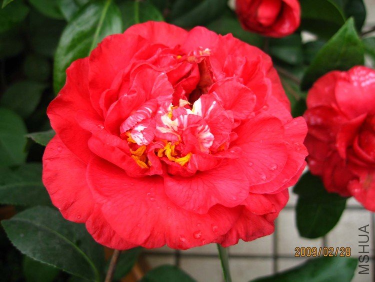 ��̫�� 09-2-28.jpg