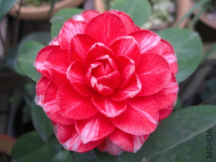 ���� 09-3-7 (5).jpg