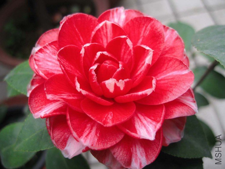 ���� 09-3-7 (3).jpg