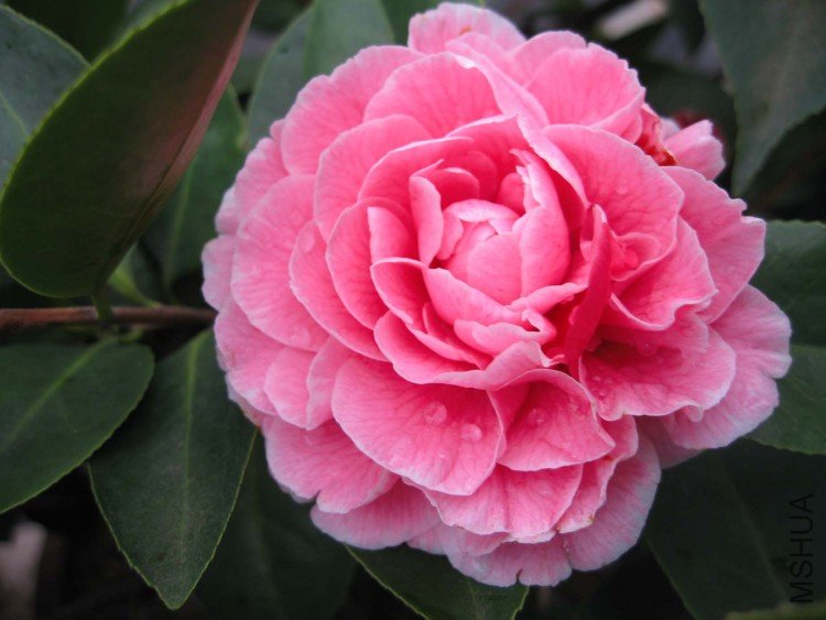 ԧ���� 09-2-28 (4).jpg