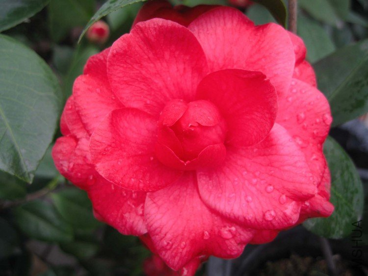 �ڸǲ� 09-2-28 (3).jpg