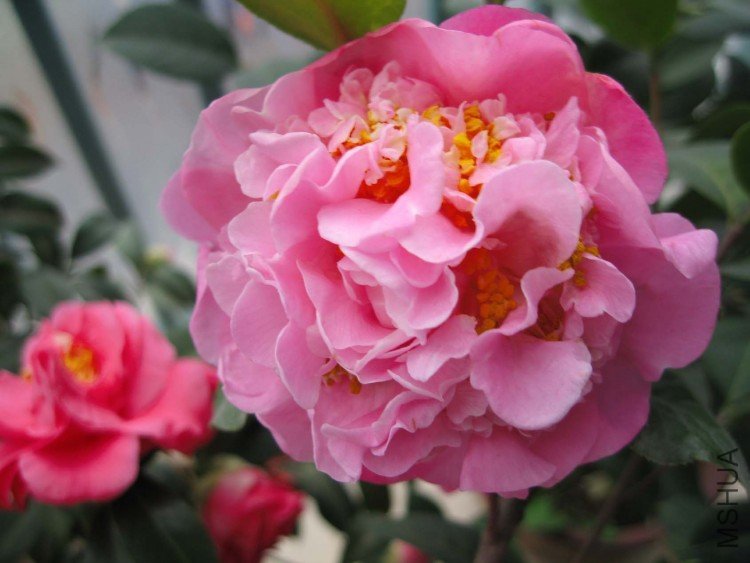 ���������� 09-2-27.jpg