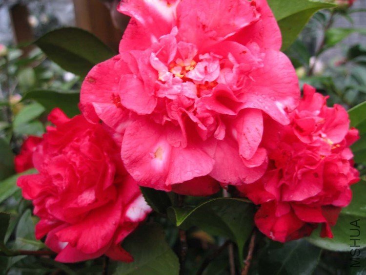 ���ٲ� 09-2-27  (3).jpg