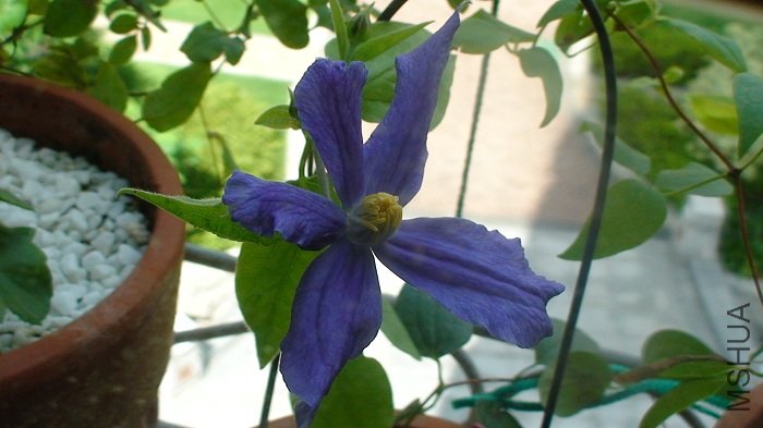 7-15��, �����ڶ���Ķ���.