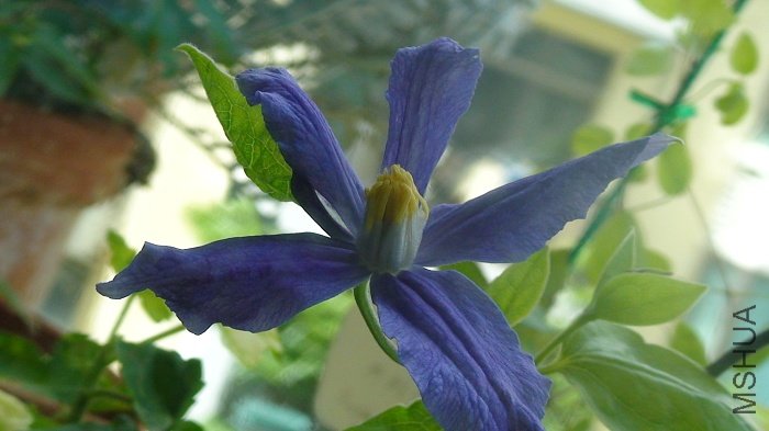 ���һ��, ����?