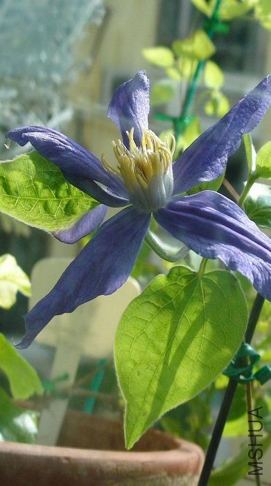 ����һ�ſ�������Ӱ�ĸо��ܺ�!