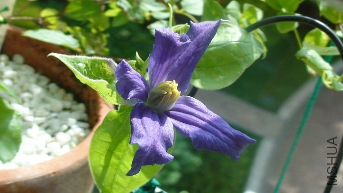 ����7-14��, ������һ��Ķ���!