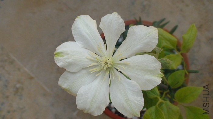 ����������д! �Ǻ��Ϳ���!