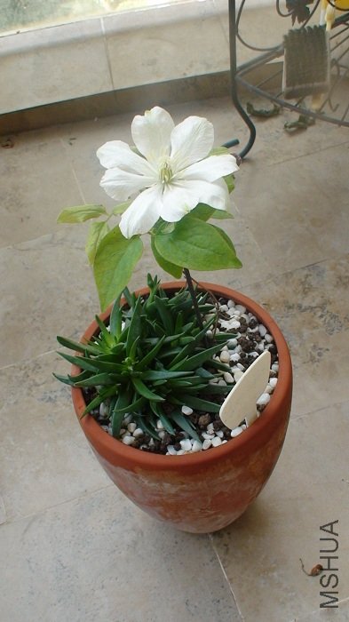 �������һ�Ű�! ����ϲ���������Ѿ����!