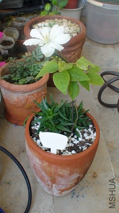 ���Ҹ�����С, ����ȴ��! �������, ʵ���Ǻܺ���!