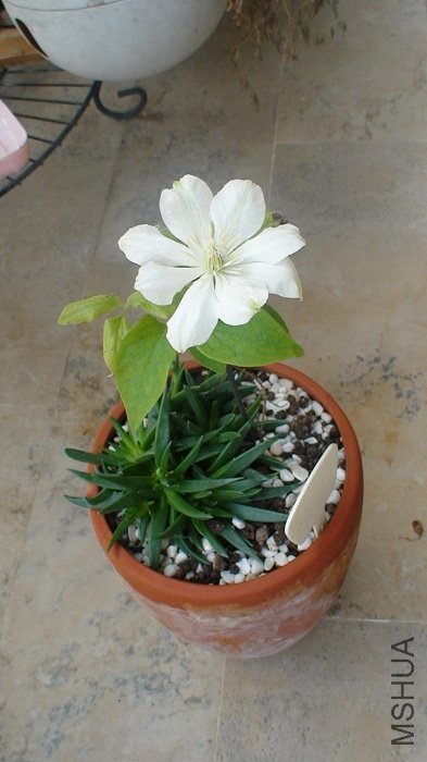 �����Ƕȿ���!