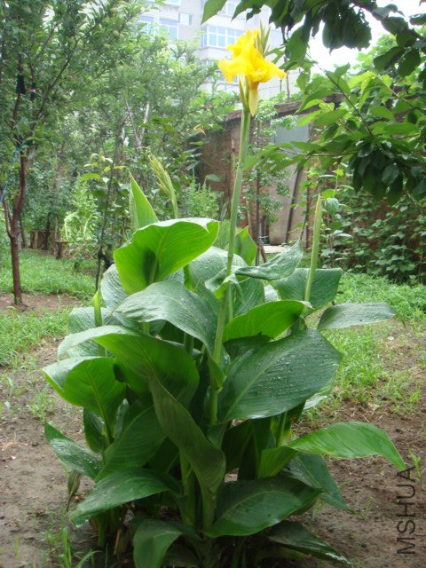 DSC01030.JPG