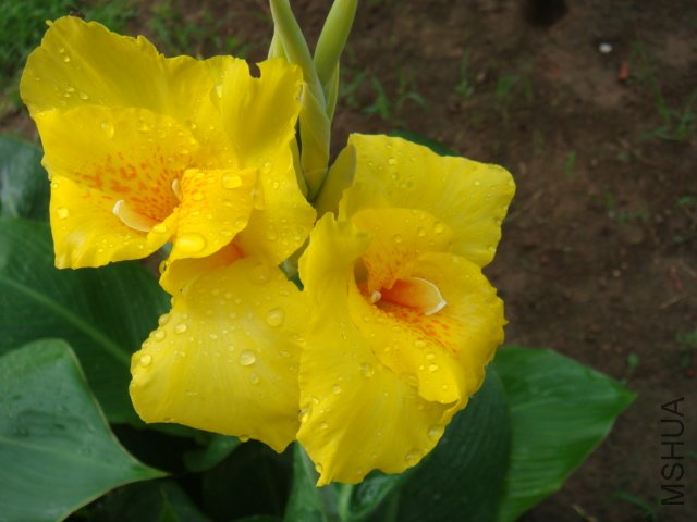 DSC01026.JPG