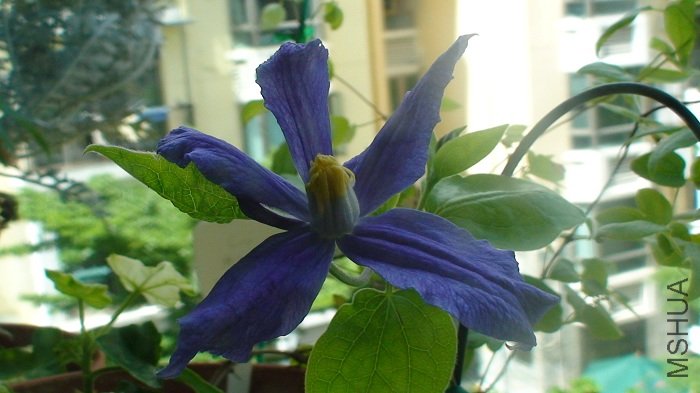 �����ͷ��! ��������ؿ��������!