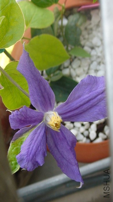 ��������Ƭȫ�Ǹ��Ų����ĵ�, ֻ������������ʵ��! �����Ҷ��������, ����ɫ��ʵ�������ĵĸ���ʵ!