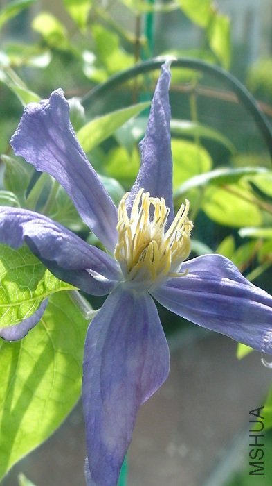 �����ֱ����������һ��!